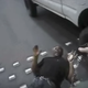 YouTube screenshot of Tashii Farmer being stunned with a Taser